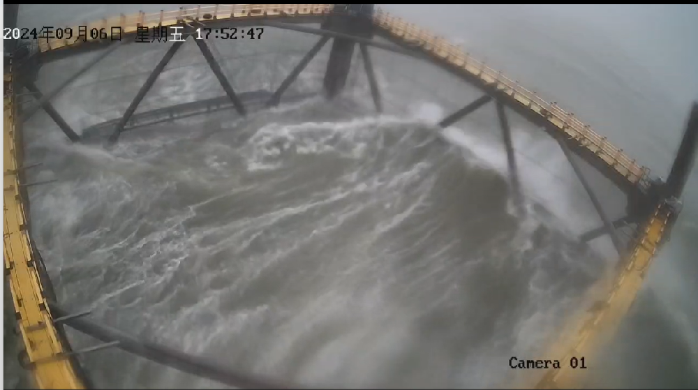 堅(jiān)如磐石！公司網(wǎng)箱以硬實(shí)力抵御17級臺風(fēng)，憑技術(shù)創(chuàng)新力保養(yǎng)殖安全